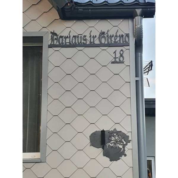 Gatvės pavadinimas "Dariaus ir Girėno"